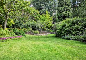 Optimiser l'expérience du jardin à Bertrancourt